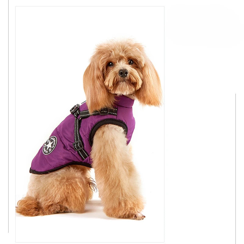 Winter Jacket for Dog Warm Clothes Waterproof Warm Clothes Chest Back One Pet Dog Down Clothes Fashion New Pet Clothing