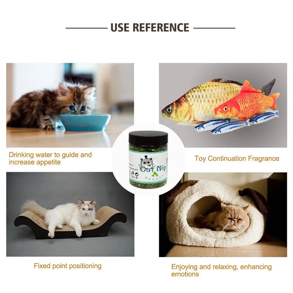 High-end Organic Natural High Quality Catnip Cattle Grass Mint Taste Funny Cat Toy 20g Interactive Cat Toys Pet Supplies