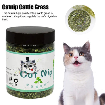High-end Organic Natural High Quality Catnip Cattle Grass Mint Taste Funny Cat Toy 20g Interactive Cat Toys Pet Supplies