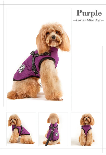 Winter Jacket for Dog Warm Clothes Waterproof Warm Clothes Chest Back One Pet Dog Down Clothes Fashion New Pet Clothing