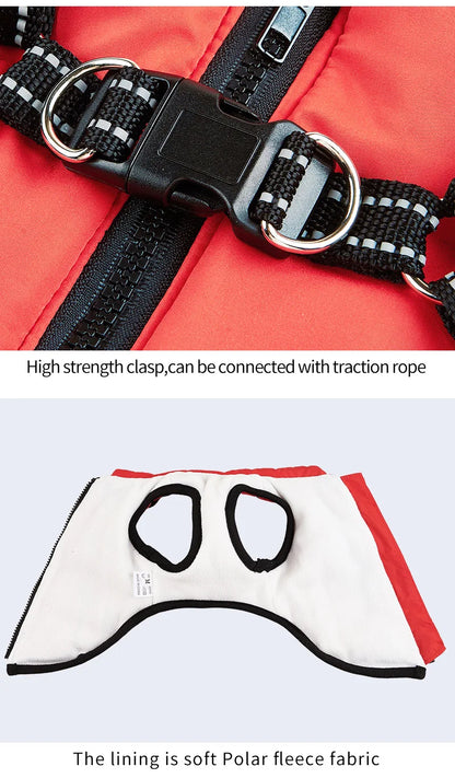 Winter Jacket for Dog Warm Clothes Waterproof Warm Clothes Chest Back One Pet Dog Down Clothes Fashion New Pet Clothing