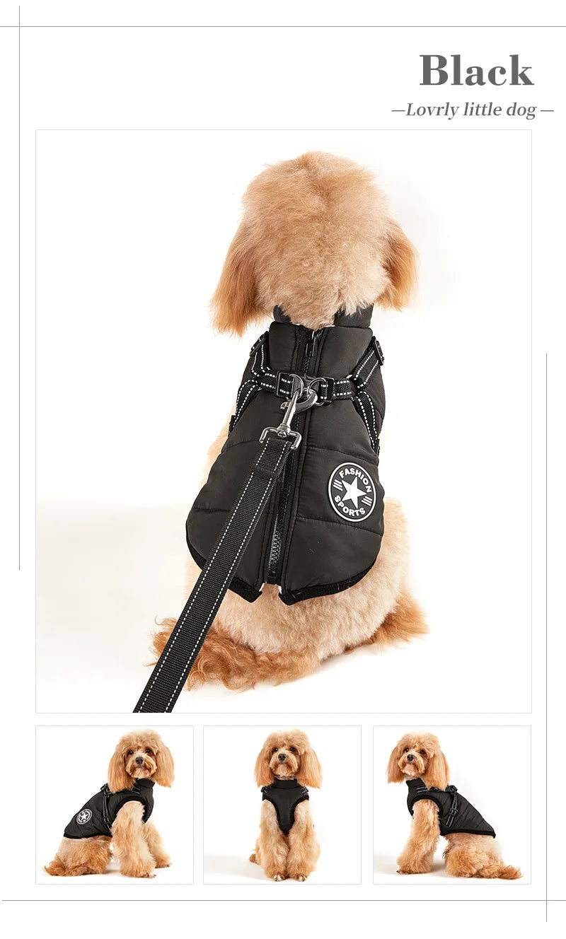 Winter Jacket for Dog Warm Clothes Waterproof Warm Clothes Chest Back One Pet Dog Down Clothes Fashion New Pet Clothing