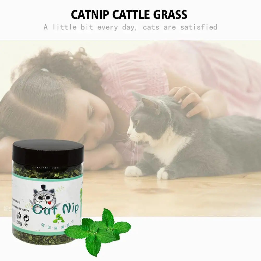 High-end Organic Natural High Quality Catnip Cattle Grass Mint Taste Funny Cat Toy 20g Interactive Cat Toys Pet Supplies