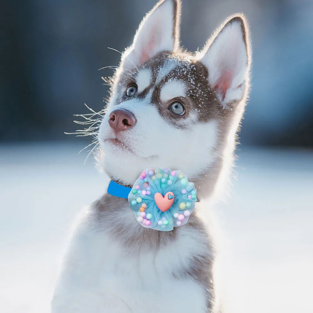 20pcs Pet Bowties Dog Bow Tie Collar Lace Colorful Fashion Bulk Grooming Dogs Products for Small Dog Cat Bowties Pet Accessories