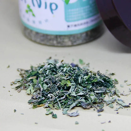 High-end Organic Natural High Quality Catnip Cattle Grass Mint Taste Funny Cat Toy 20g Interactive Cat Toys Pet Supplies