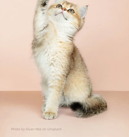 Pet Dog Electric Groomer Trimmer with LED Light Waterproof Pet Foot Hair Trimmer Low Noise Cat Dog Face Foot Ear Hip Paw Shaver